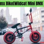 Mini Bmx Bike[Wildcat Mini BMX Bikes]