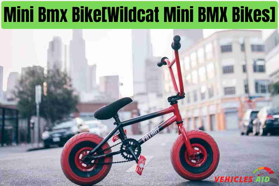 Mini Bmx Bike[Wildcat Mini BMX Bikes]