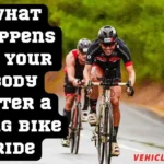 What Happens to Your Body After a Long Bike Ride